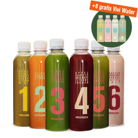 5-Tage Klassik Saftkur+ 8 gratis Vivi Water